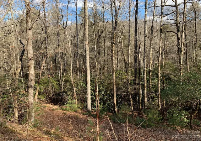 Homes for sale in Brevard, NC | 126 Green Hollow Ln, Brevard, NC 28712 | MLS# 4069802