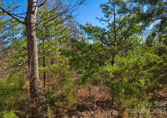 Photo 3 of Land for sale at 0 Whitestone Cir #81, Union Mills, NC 28167 | MLS# 4072484 | Listing updated on 2025-12-30