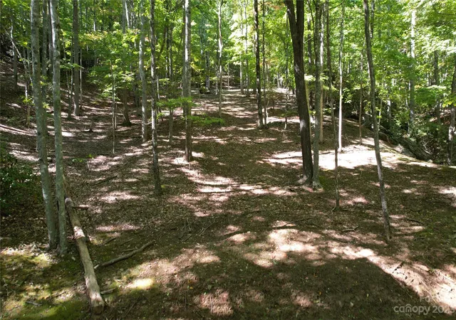 Photo 3 of Land for sale at 9999 Celo Hts Way #5, Burnsville, NC 28714 | MLS# 4075432 | Listing updated on 2026-04-15