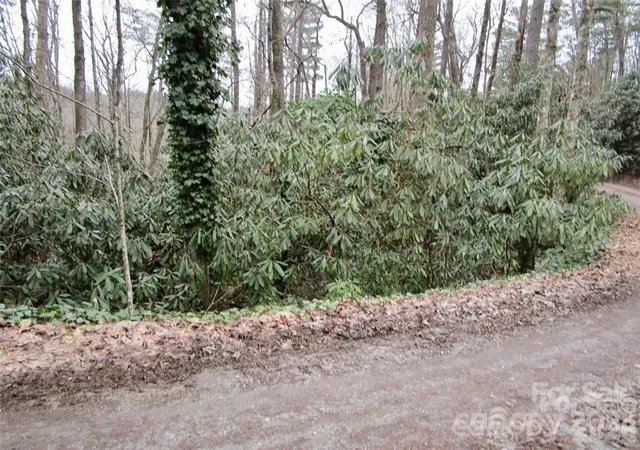 Photo 2 of Land for sale at Lot #21 Toxaway Falls Dr, Lake Toxaway, NC 28747 | MLS# 4077919 | Listing updated on 2026-09-02