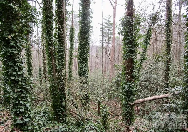 Photo 4 of Land for sale at Lot #21 Toxaway Falls Dr, Lake Toxaway, NC 28747 | MLS# 4077919 | Listing updated on 2026-09-02