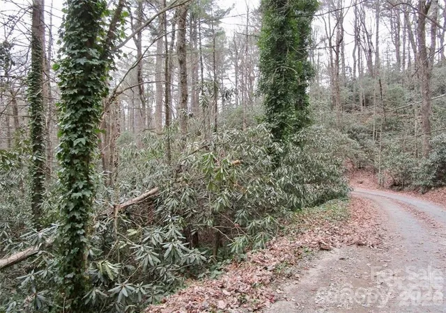 Photo 5 of Land for sale at Lot #21 Toxaway Falls Dr, Lake Toxaway, NC 28747 | MLS# 4077919 | Listing updated on 2026-09-02