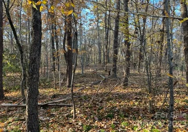 Photo 1 of Land for sale at Tbd Shady Ln, Mill Spring, NC 28756 | MLS# 4081619 | Listing updated on 2026-09-29