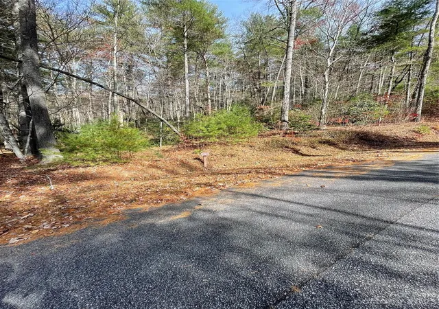 3rd image of 0000 Juniper Berry Ln, Zirconia, NC 28792 | MLS# 4087886