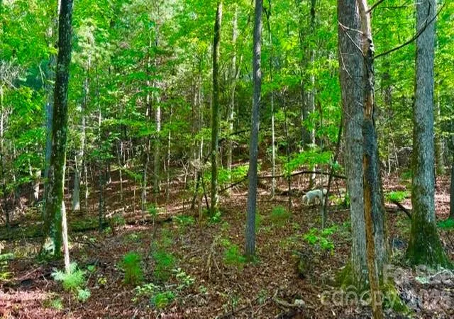 Photo 3 of Land for sale at 0000 Juniper Berry Ln #17R, Zirconia, NC | MLS# 4087886 | Listing updated on 2026-09-30