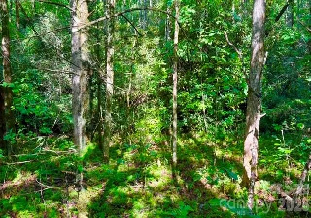 Photo 4 of Land for sale at 0000 Juniper Berry Ln #17R, Zirconia, NC | MLS# 4087886 | Listing updated on 2026-09-30