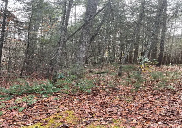 3rd image of 50 Mountain Escape Dr, Zirconia, NC 28790 | MLS# 4087901