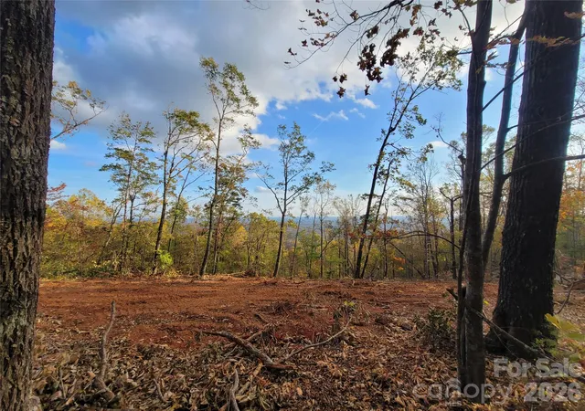 3rd image of 0 S Tranquility Trl #47, Union Mills, NC 28167 | MLS# 4089966
