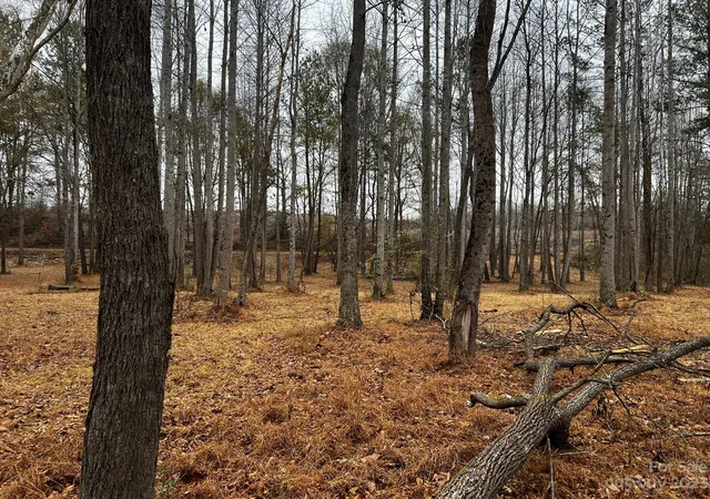 Homes for sale in Statesville, NC | Lot 155 Lookout Dam Rd, Statesville, NC 28625 | MLS# 4091503