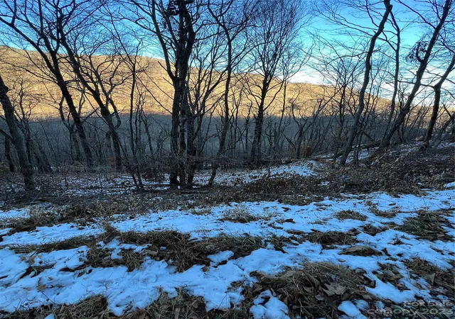 Photo 1 of Land for sale at 000 Puncheon Ln #170, Mars Hill, NC 28754 | MLS# 4092977 | Listing updated on 2025-12-30