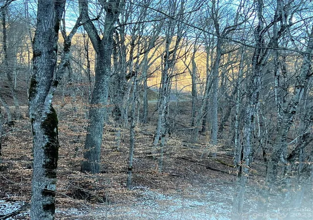 Photo 1 of Land for sale at 000 Bee Tree Ln #69, Mars Hill, NC 28754 | MLS# 4092978 | Listing updated on 2025-12-30