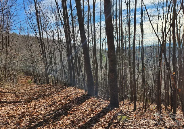 Photo 1 of Land for sale at 6900 Mertie Rd, Millers Creek, NC 28651 | MLS# 4093470 | Listing updated on 2026-10-06