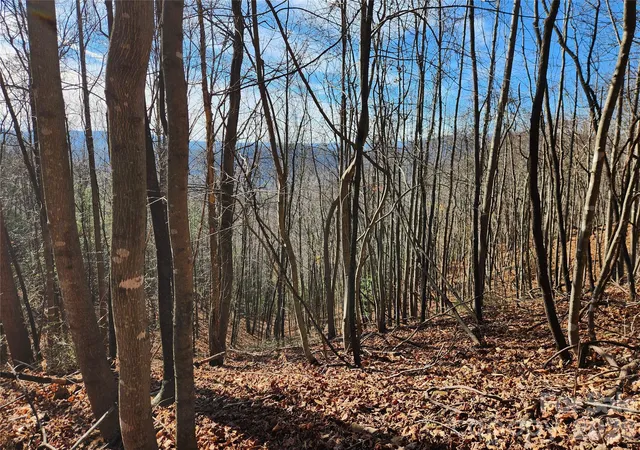 Photo 3 of Land for sale at 6900 Mertie Rd, Millers Creek, NC 28651 | MLS# 4093470 | Listing updated on 2026-10-06