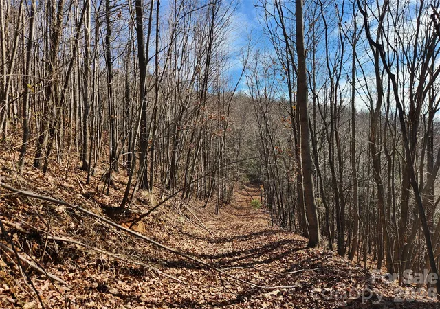 Photo 3 of Land for sale at 6900 Mertie Rd, Millers Creek, NC 28651 | MLS# 4093470 | Listing updated on 2026-10-06