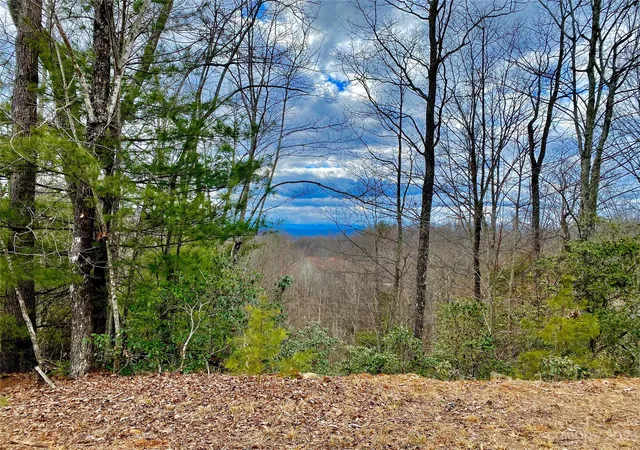 1st image of Lot 1 Pinnacle Dr, Boomer, NC 28665 | MLS# 4097558