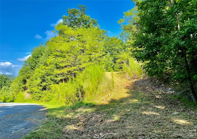 Photo 4 of Land for sale at Lot 1 Pinnacle Dr, Boomer, NC 28665 | MLS# 4097558 | Listing updated on 2026-07-27