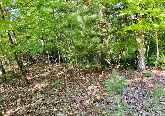 Photo 5 of Land for sale at Lot 1 Pinnacle Dr, Boomer, NC 28665 | MLS# 4097558 | Listing updated on 2026-07-27