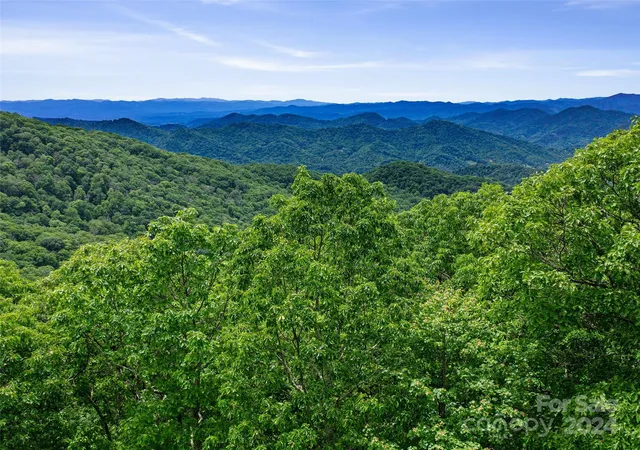 1st image of Lot 17 Old Growth Forest Rd, Burnsville, NC 28714 | MLS# 4099027