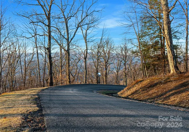 17th image of Lot 17 Old Growth Forest Rd, Burnsville, NC 28714 | MLS# 4099027