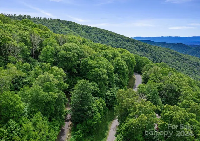 2nd image of Lot 17 Old Growth Forest Rd, Burnsville, NC 28714 | MLS# 4099027