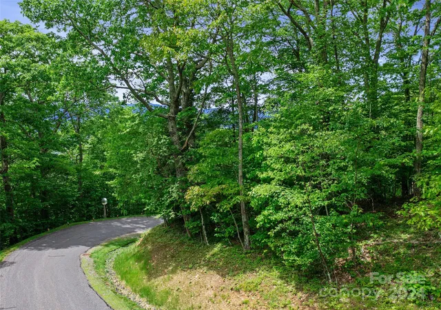 4th image of Lot 17 Old Growth Forest Rd, Burnsville, NC 28714 | MLS# 4099027