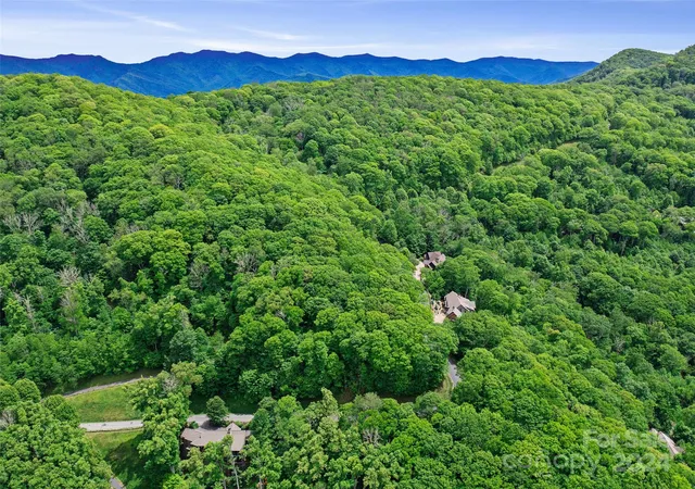 5th image of Lot 17 Old Growth Forest Rd, Burnsville, NC 28714 | MLS# 4099027