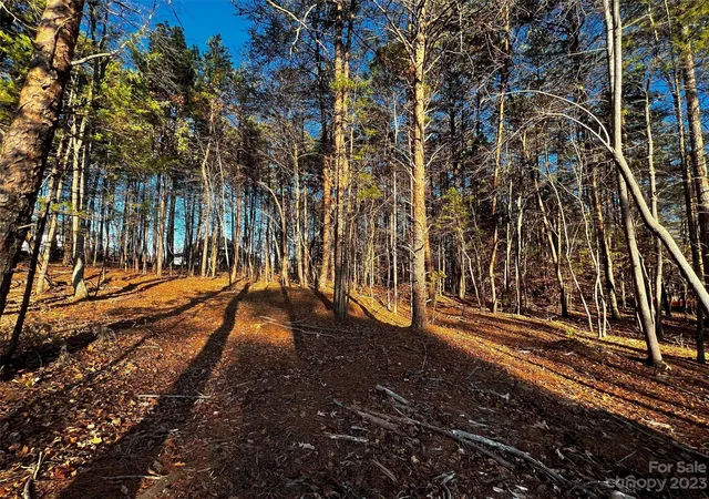 2nd image of 127 Hunt Camp Trl #16, Davidson, NC 28036 | MLS# 4101848
