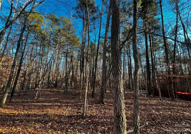 2nd image of 126 Hunt Camp Trl #20, Davidson, NC 28036 | MLS# 4101878
