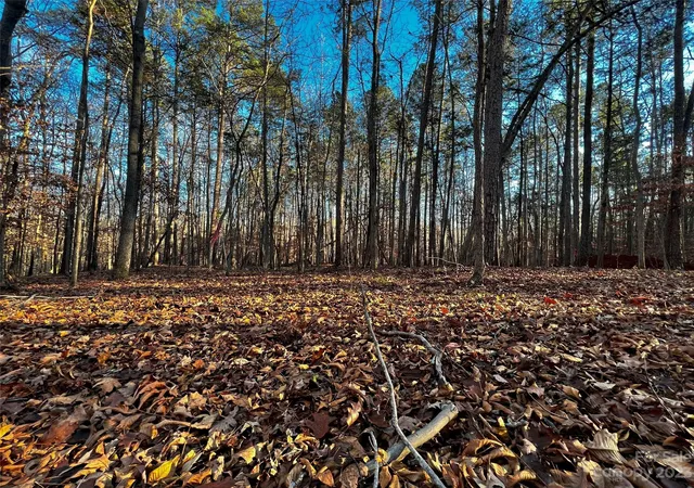 3rd image of 126 Hunt Camp Trl #20, Davidson, NC 28036 | MLS# 4101878
