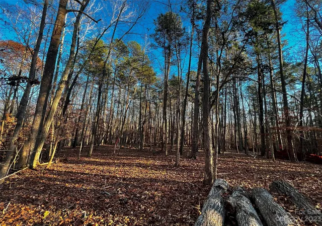 5th image of 126 Hunt Camp Trl #20, Davidson, NC 28036 | MLS# 4101878