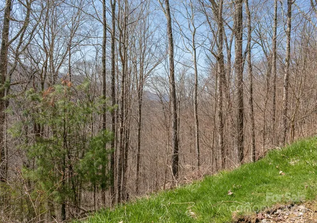 4th image of Lot 13 Austin Mountain Dr #13/3, Burnsville, NC 28714 | MLS# 4102230
