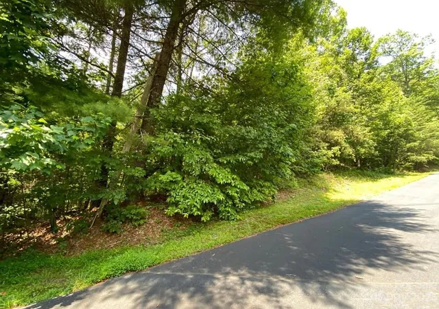 Homes for sale in Hendersonville, NC | 68 Stepp Ridge Ct, Hendersonville, NC 28792 | MLS# 4103307