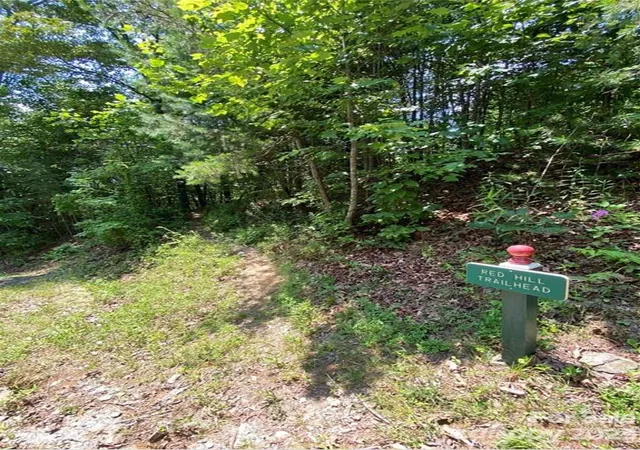 Homes for sale in Hendersonville, NC | 68 Stepp Ridge Ct, Hendersonville, NC 28792 | MLS# 4103307