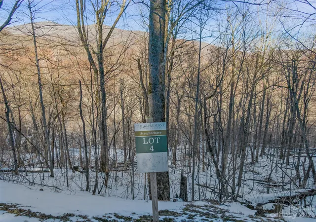 1st image of Lot 4 Mountain Gait Dr, Mars Hill, NC 28754 | MLS# 4104851