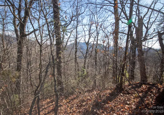 Homes for sale in Lenoir, NC | Lot# 502 Fire Crest Ln #502, Lenoir, NC 28645 | MLS# 4105857