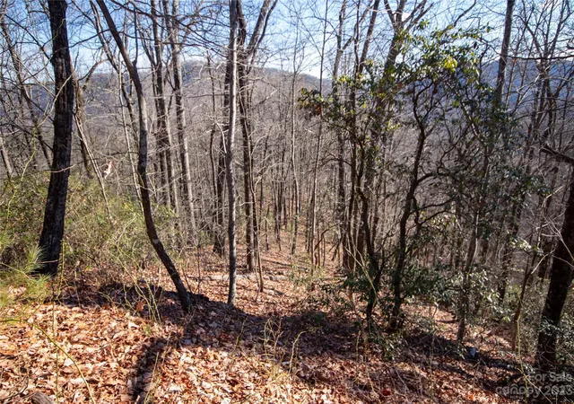 Homes for sale in Lenoir, NC | Lot# 502 Fire Crest Ln #502, Lenoir, NC 28645 | MLS# 4105857