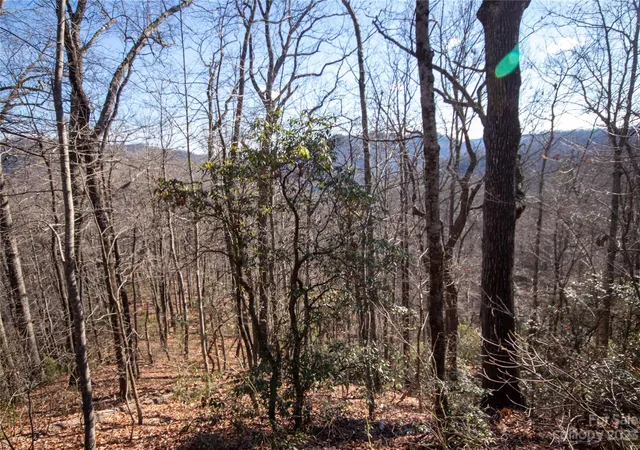 Homes for sale in Lenoir, NC | Lot# 502 Fire Crest Ln #502, Lenoir, NC 28645 | MLS# 4105857