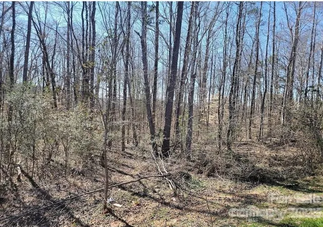 Photo 3 of Land for sale at 4600 Tbd Waxhaw Marvin Rd, Waxhaw, NC 28173 | MLS# 4106732 | Listing updated on 2026-04-15