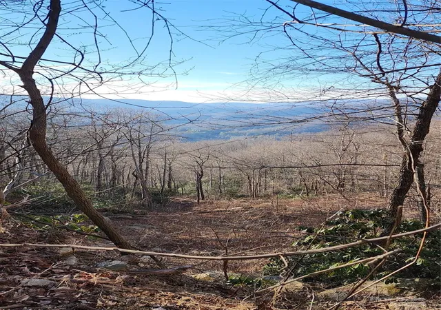 2nd image of 9999 Still Spring Rd, Black Mountain, NC 28711 | MLS# 4110489