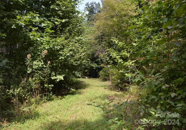 3rd image of 9999 Still Spring Rd, Black Mountain, NC 28711 | MLS# 4110489