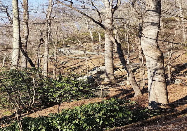4th image of 9999 Still Spring Rd, Black Mountain, NC 28711 | MLS# 4110489