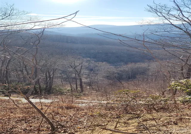 1st image of 9999 Still Spring Rd #Lot 4, Black Mountain, NC 28711 | MLS# 4110494