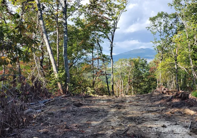 Photo 5 of Land for sale at Tbd Parkwood Hill Rd, Spruce Pine, NC 28777 | MLS# 4110544 | Listing updated on 2025-12-30
