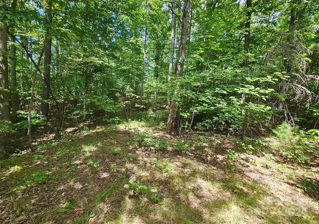 2nd image of 0 Broyhill Rd, Rutherfordton, NC 28139 | MLS# 4110802