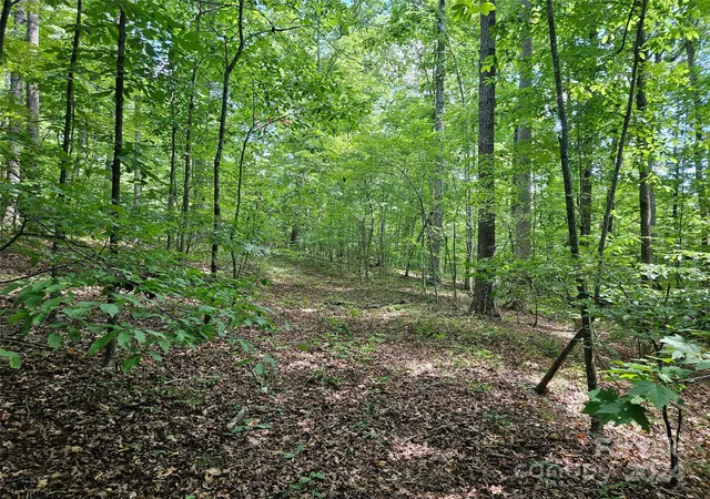 3rd image of 0 Broyhill Rd, Rutherfordton, NC 28139 | MLS# 4110802