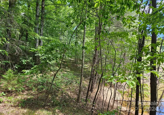 4th image of 0 Broyhill Rd, Rutherfordton, NC 28139 | MLS# 4110802