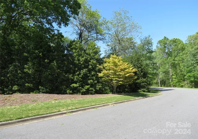 5th image of 0 Broyhill Rd, Rutherfordton, NC 28139 | MLS# 4110802
