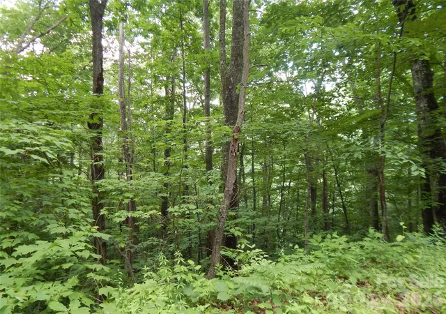 Photo 2 of Land for sale at 00 Hoot Owl Bill Rd, Maggie Valley, NC 28751 | MLS# 4116516 | Listing updated on 2026-08-26