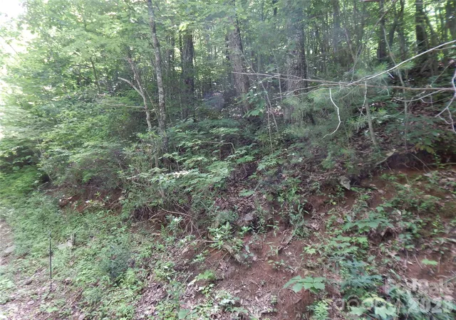 Photo 37 of Land for sale at 00 Hoot Owl Bill Rd, Maggie Valley, NC 28751 | MLS# 4116516 | Listing updated on 2026-08-26