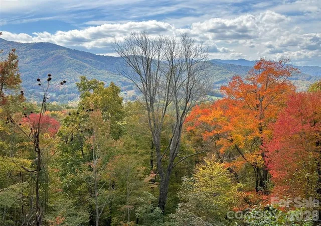 Photo 4 of Land for sale at 001 Shoal Pond Cvs, Burnsville, NC 28714 | MLS# 4117891 | Listing updated on 2026-10-01